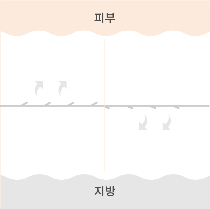 기존실