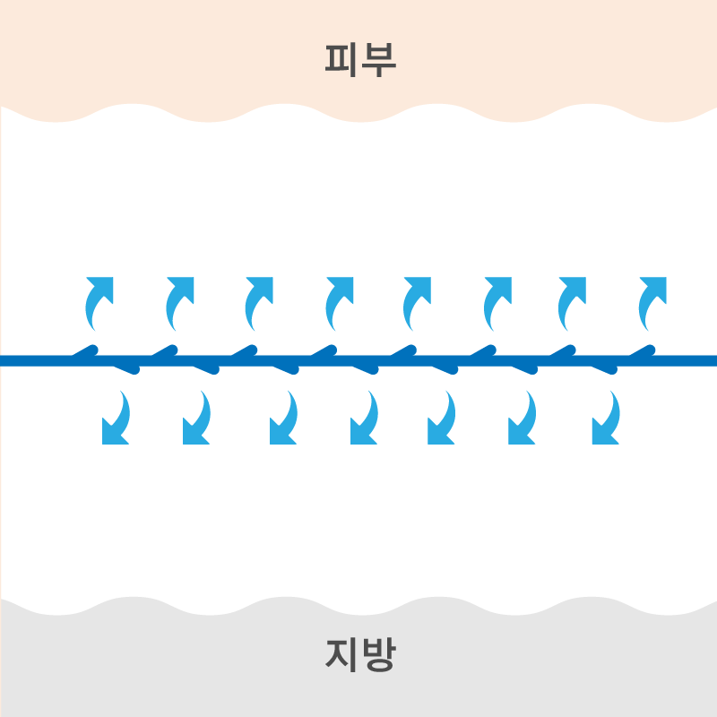VOV실