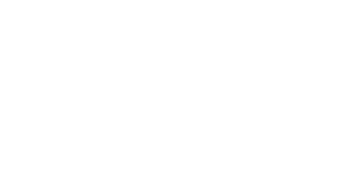 자가조직