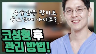 제스타유튜브