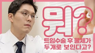 제스타유튜브